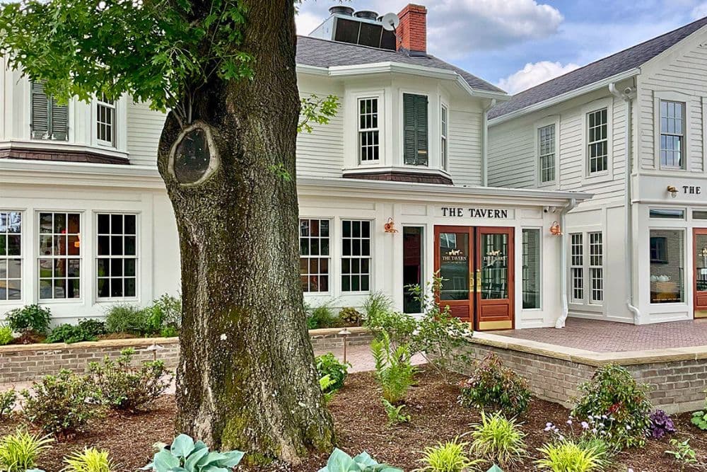 A charming tavern building with large windows, surrounded by lush landscaping and an old tree.
