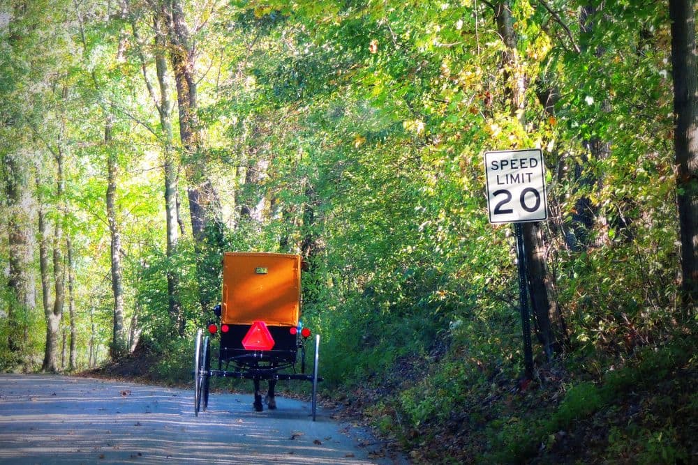 A horse-drawn carriage drives down a tree-lined road next to a 20 mph speed limit sign.